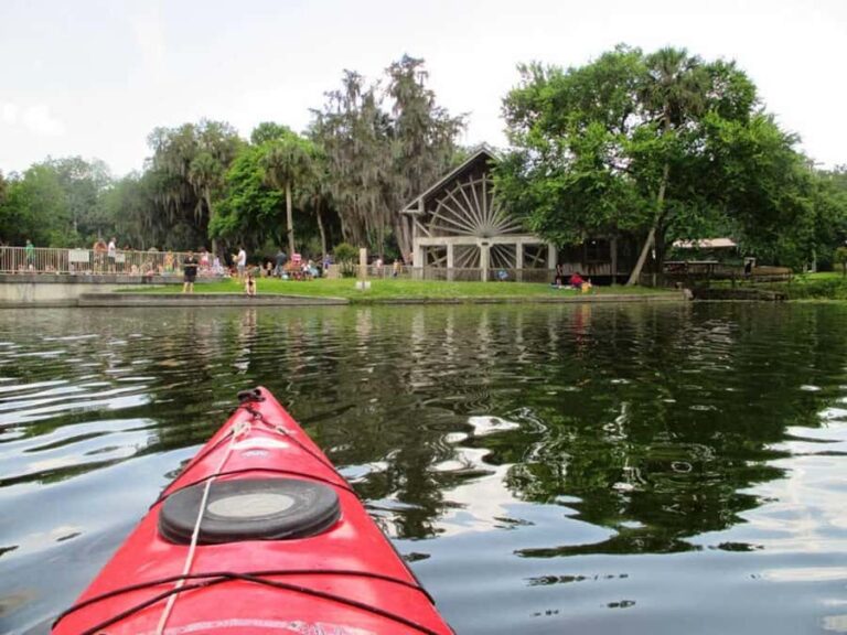 De Leon Springs: State Park Guided Kayak Tour - Logistics and Practicalities