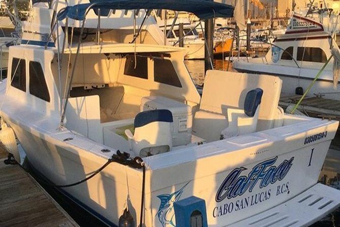 Deep Sea Fishing for 5 Hours from Cabo San Lucas - The Value for Money