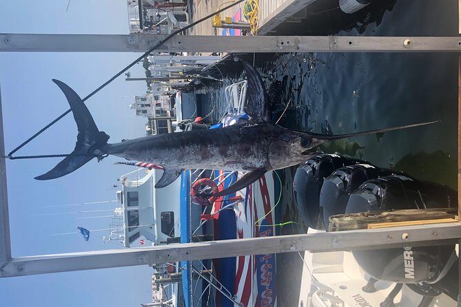 Deep Sea Private Trip on the Deep Obsession - Final Thoughts