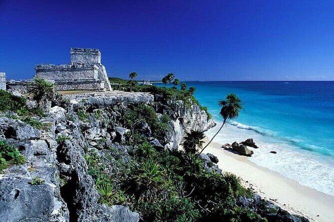 Deluxe Cenote,Tulum, Coba & 5th Avenue from Cancun & Riviera Maya - What Travelers Say