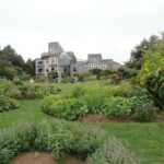 Deluxe North Shore and City Tour - What Sets This Tour Apart?