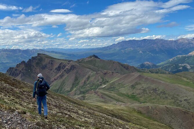 Denali 4 Hour Hiking Adventure with Naturalist Guide - Final Thoughts