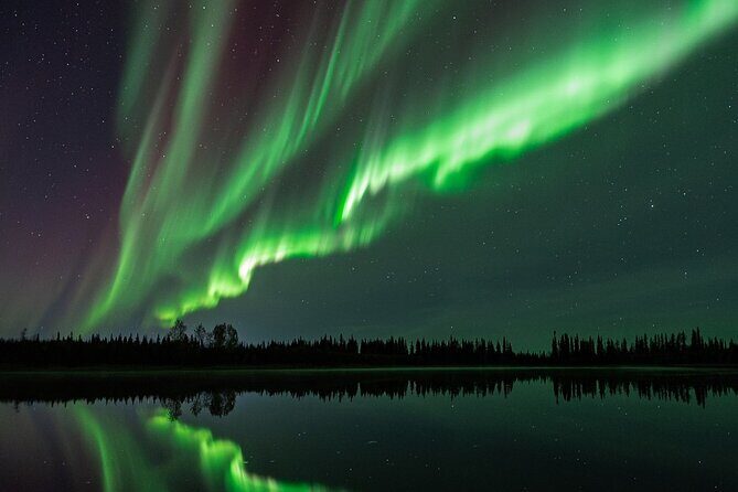 Denali Highway Overnight Excursion - The Guides: Knowledge and Sustainability