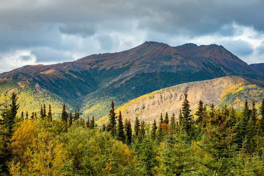Denali in a Day  Full-Day Sightseeing Tour - Evaluating the Experience: What Travelers Say