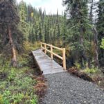 Denali: Nenana River Trail Guided Hike with Pickup - The High Bluff: A Highlight