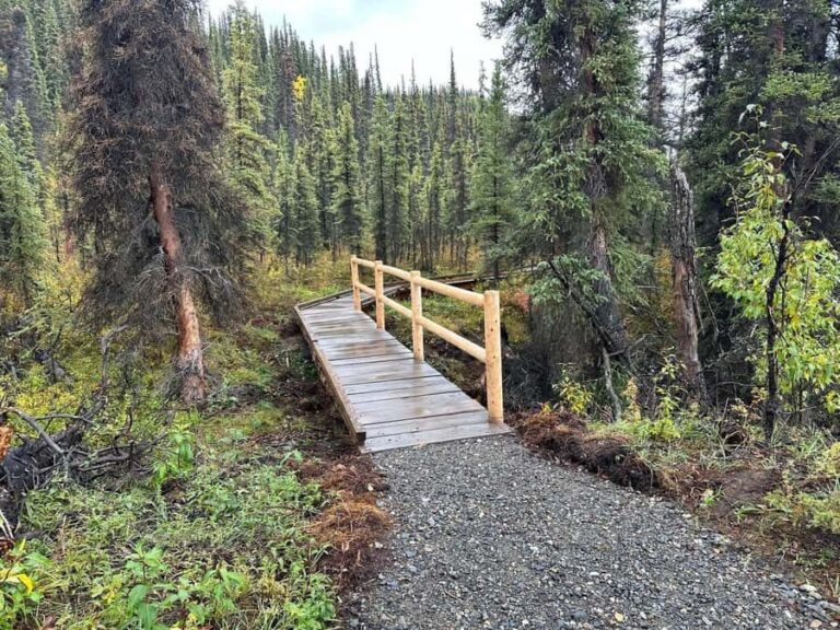 Denali: Nenana River Trail Guided Hike with Pickup - The High Bluff: A Highlight