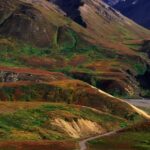 Denali: Rock Creek Trail Guided Evening Hike with Pickup - What Makes This Tour Stand Out
