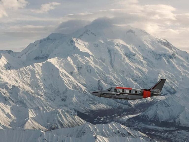 Denali: Scenic Flightseeing Tour Over Denali National Park - Practical Details and What to Expect