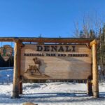 Denali Summer Winter Trial Shuttle with Professional Camera - Introduction to the Tour