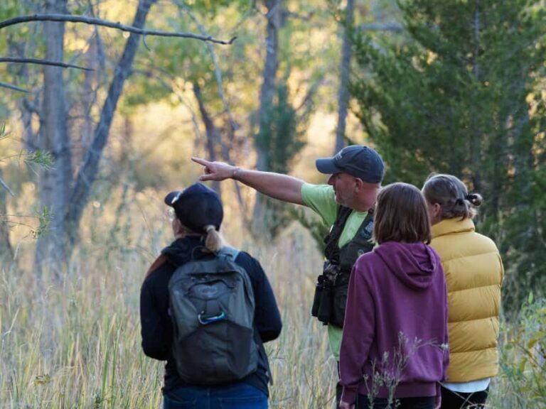 Denver: Birding Basics and Beyond - What to Expect: Practical Details and Value