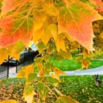 Denver City Highlights Tour - Breaking Down the Experience: What to Expect