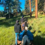 Denver: Llama Lunch in the Rocky Mountains - The Value of this Llama Lunch Experience