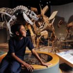 Denver: Museum of Nature and Science Entry Ticket - A Detailed Look at the Itinerary and Exhibits