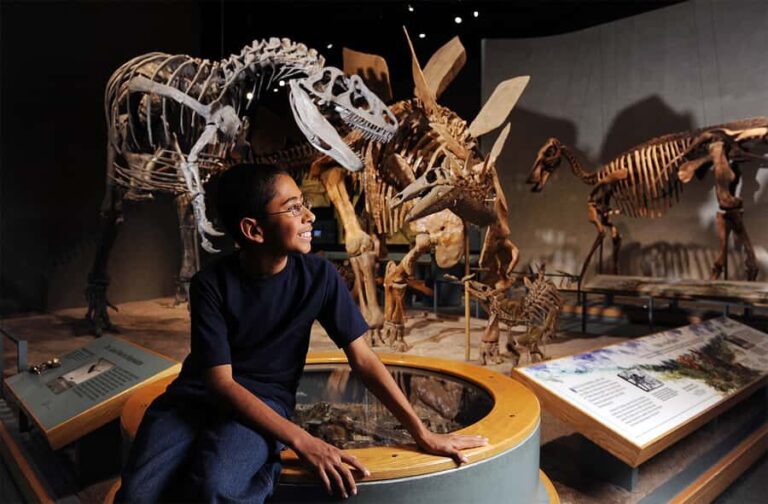 Denver: Museum of Nature and Science Entry Ticket - A Detailed Look at the Itinerary and Exhibits