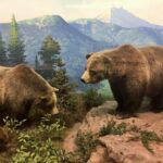Denver: Museum of Nature and Science Ticket & Digital Tour - A Walk Through the Exhibits