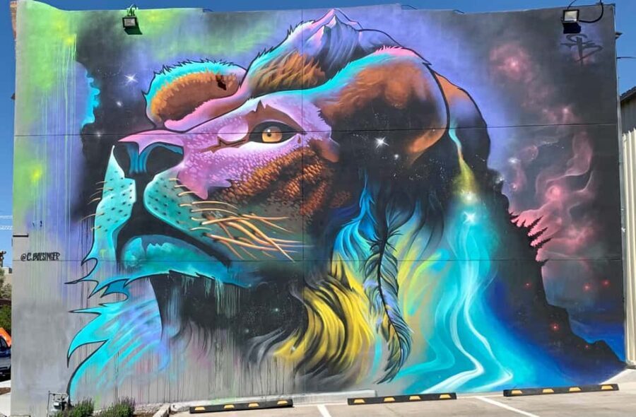 Denver: RiNo Art District "Happy Hour" Street Art Tour - The Guide’s Role and Expertise