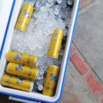 Departure shuttle to Cabo Airport - Final Thoughts: Is It a Good Choice?