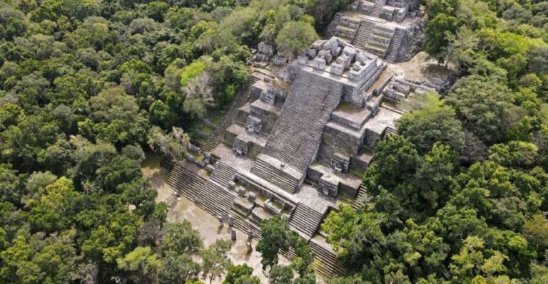 Desde Palenque: Zona Arqueológica Calakmul - What’s Included and How It Works