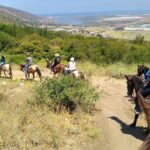 Desert Peaks on Horseback, Exploring Mountain Trails of Ensenada - The Trail and Scenic Highlights