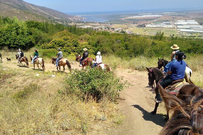 Desert Peaks on Horseback, Exploring Mountain Trails of Ensenada - The Trail and Scenic Highlights