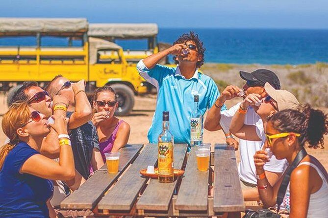 Desert & sea, Camel Safari tour in Los Cabos with lunch - Is This Tour Worth the Price?