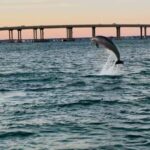Destin: 90-Minute Boat Ride With Cruise Destin Bay - What’s Included and What You Should Bring