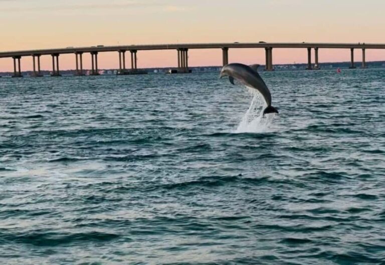 Destin: 90-Minute Boat Ride With Cruise Destin Bay - What’s Included and What You Should Bring