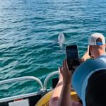 Destin Boat Ride with Cruise Destin Bay - Who Will Love This Tour?