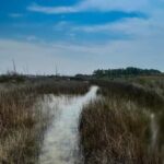 Destin: Clear Kayak Eco Tour with Island Stops - Who Will Enjoy This Tour?