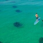 Destin Dolphin and Snorkeling Adventure Speedboat Tour - Why This Tour Offers Good Value