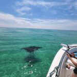 Destin: Private Morning Dolphin Cruise - Detailed Breakdown of the Itinerary