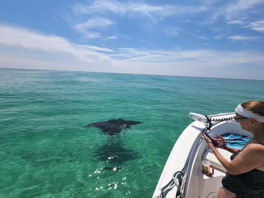 Destin: Private Morning Dolphin Cruise - Detailed Breakdown of the Itinerary