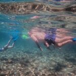 Destin Shelling and Dolphin Adventure - The Sum Up