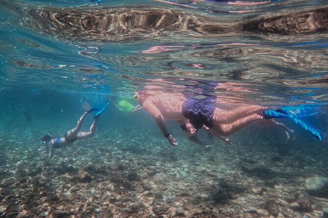 Destin Shelling and Dolphin Adventure - The Sum Up