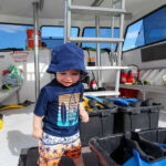 Destin: Snorkeling Cruise with 2 Stops and Dolphin Watching - Authentic Feedback from Past Travelers