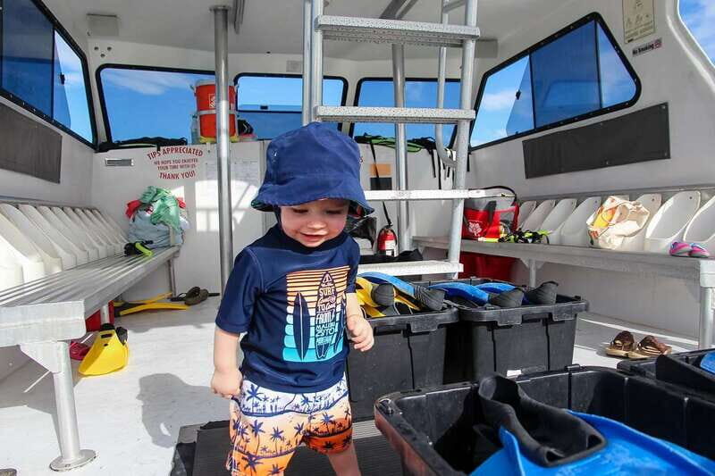 Destin: Snorkeling Cruise with 2 Stops and Dolphin Watching - Authentic Feedback from Past Travelers