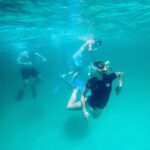 Destin: Snorkeling, Dolphins, and Crab Island - Key Points