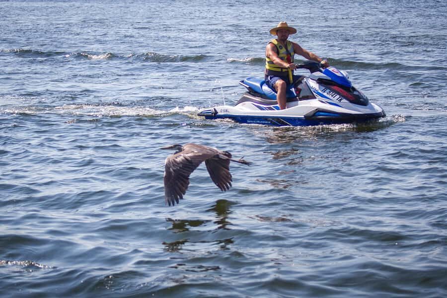 Destin: Waverunner Rental with Crab Island Access - Who Should Consider This Experience?