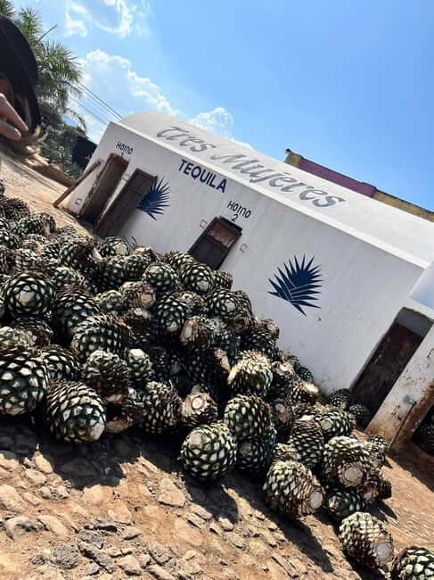 Destino Tequila: Experiencia Premier Privada - The Practical Side: What Makes This Tour Worth It?