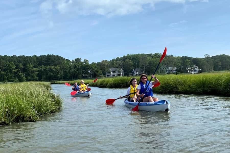 Dewey Beach: 2 HR Kayak Rental Rehoboth Bay - What to Expect When You Book