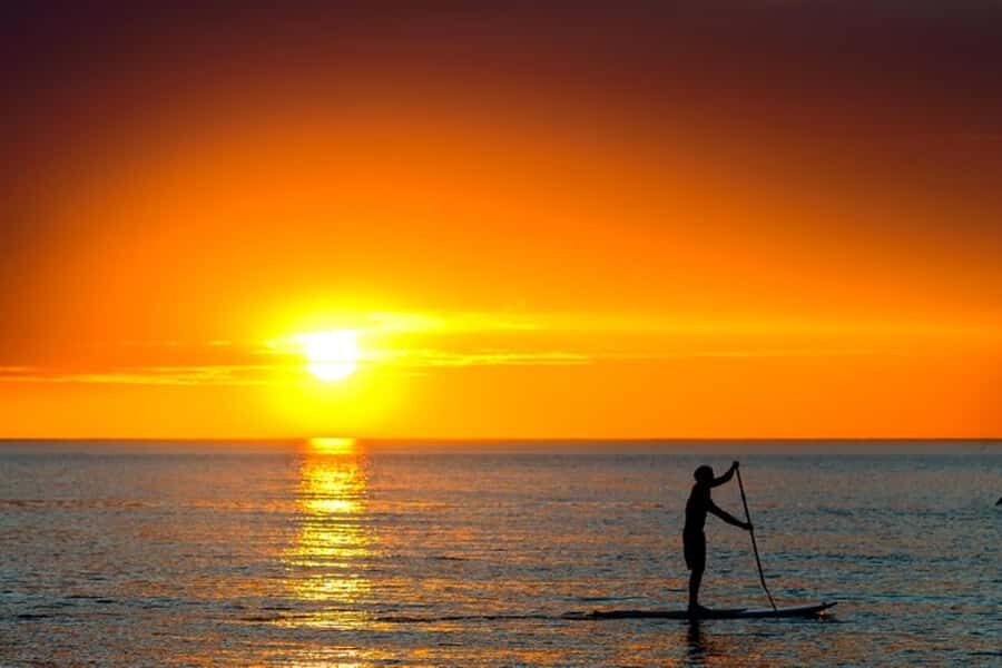Dewey Beach: Guided Paddleboard Excursion on Rehoboth Bay - Is It Worth the Price?
