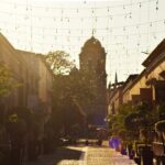 Direct Airport Transfer to Tequila Jalisco - Who Should Consider This Transfer?