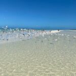 Discover Amazing Island of Holbox Punta Mosquitos, Included Transportation - What Past Travelers Say