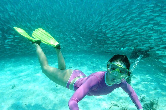 Discover an amazing world:Cenote exploration and jungle soaring. Buffet included - Who Should Book This Tour?