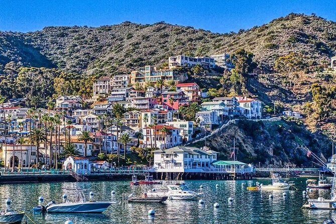 Discover Avalon: Catalina Scenic Tour - Who Will Love This Tour?