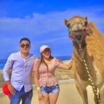 Discover Cabo San Lucas by camel ride - Why Travelers Keep Coming Back