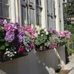 Discover Charleston's History Tour - Practicalities and What to Expect