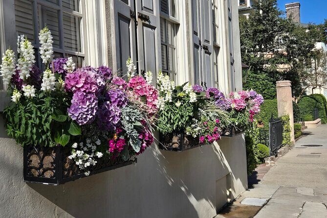 Discover Charleston's History Tour - Practicalities and What to Expect