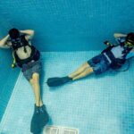 Discover Diving in the Reefs of Cozumel - What Travelers Say: Authentic Experiences