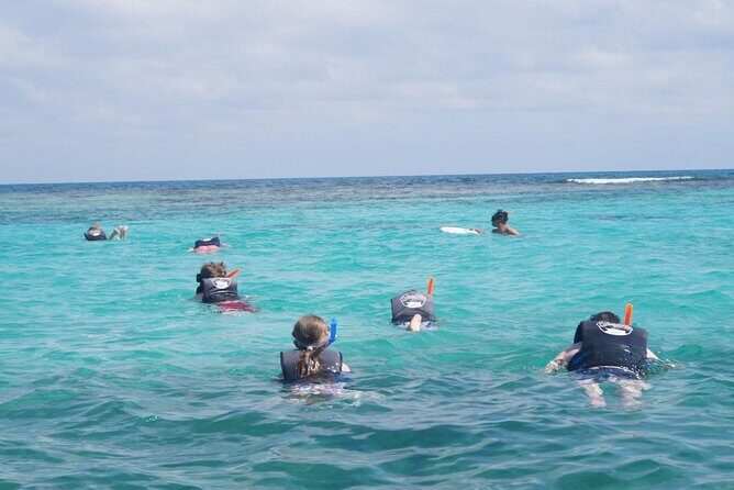 Discover El Cielo and Cozumel Snorkeling Adventure - What Travelers Say